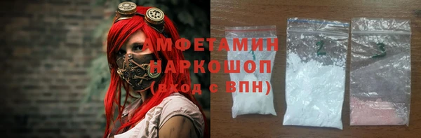 индика Алзамай