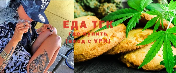 индика Алзамай