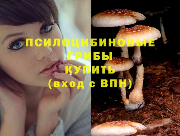 a pvp Алексин
