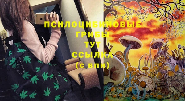 прущая мука Алексеевка