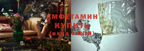 индика Алзамай