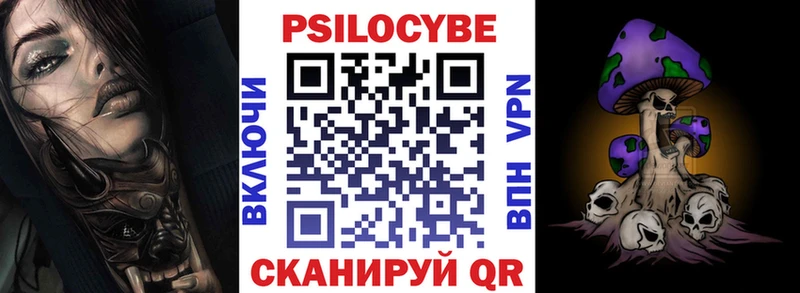 Псилоцибиновые грибы Psilocybe  купить наркоту  Балашов 
