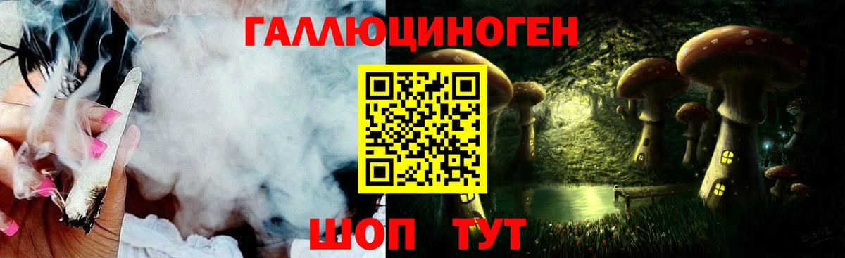 Псилоцибиновые грибы мицелий Балашов